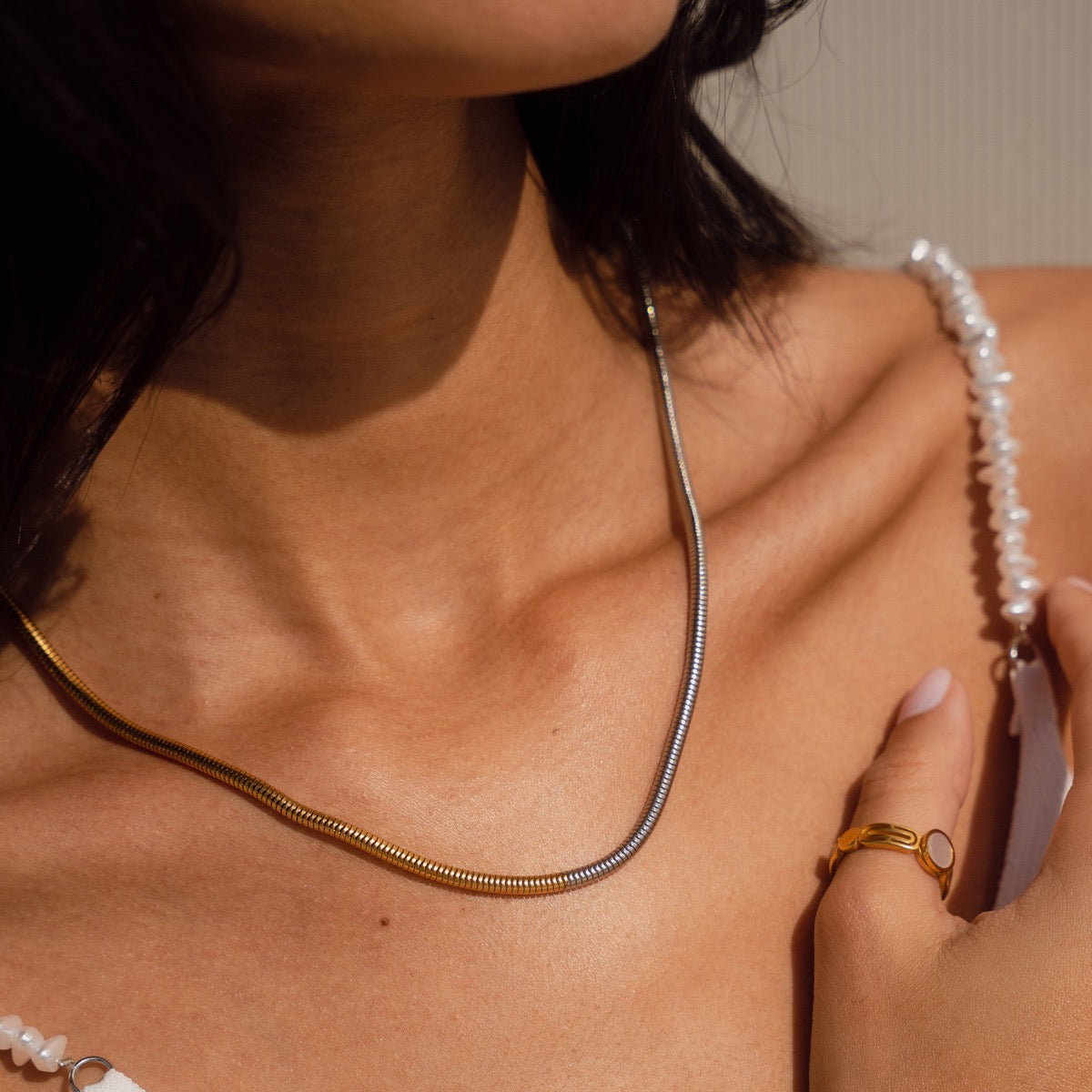 Contrast Snake Chain - Gold/Silver